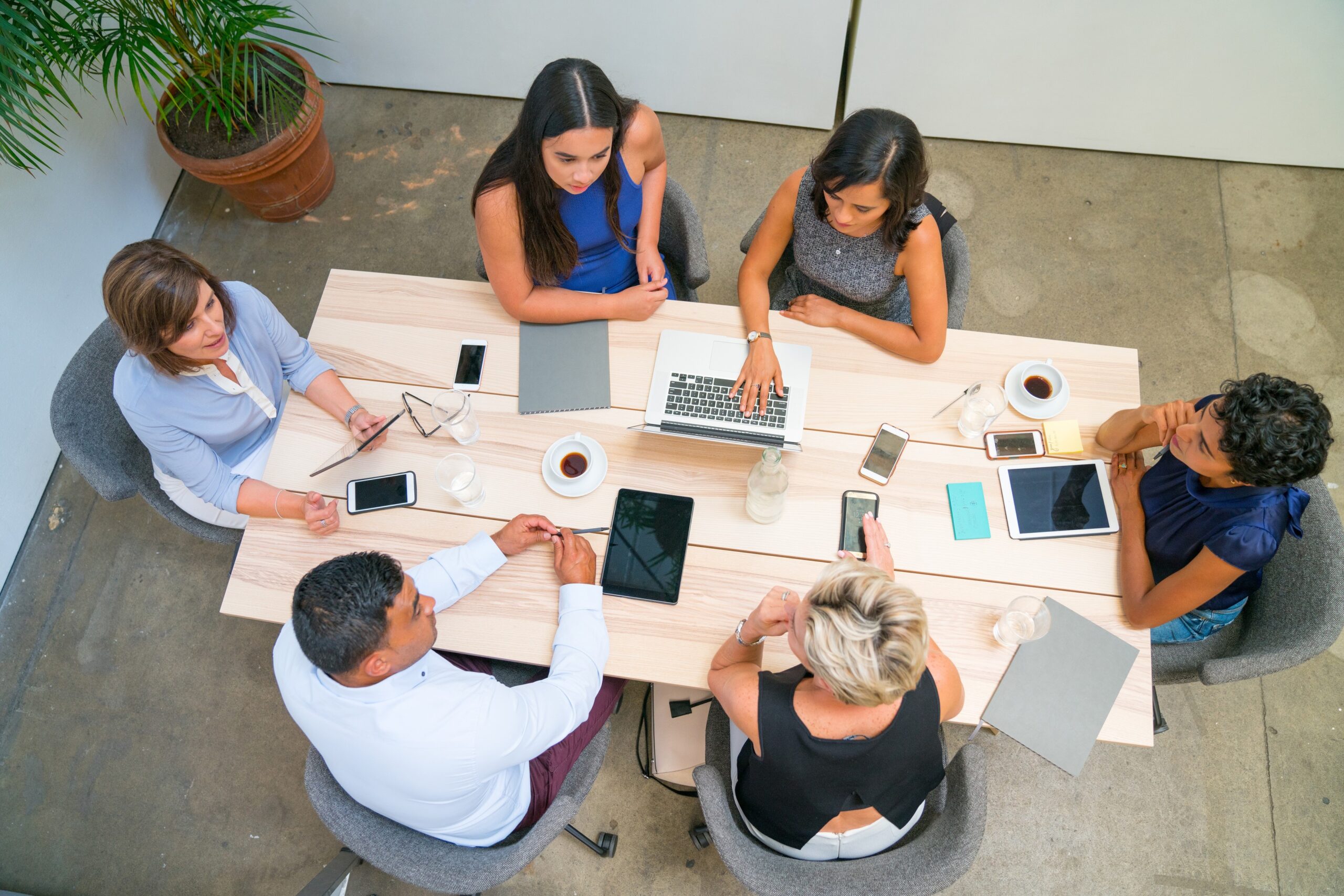 The Consequences of Human Error in the Digital World